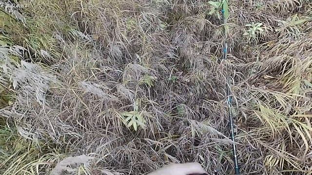 Рыбалка на горных реках Бурятии 4 смотреть онлайн