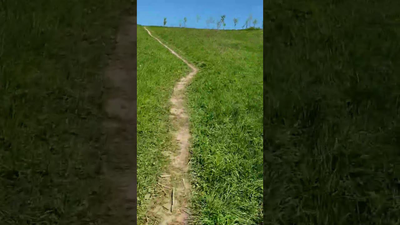 #зож #бег #спорт #интервальнаятренировка смотреть онлайн