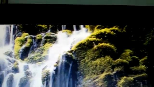 LG FLATRON E2042