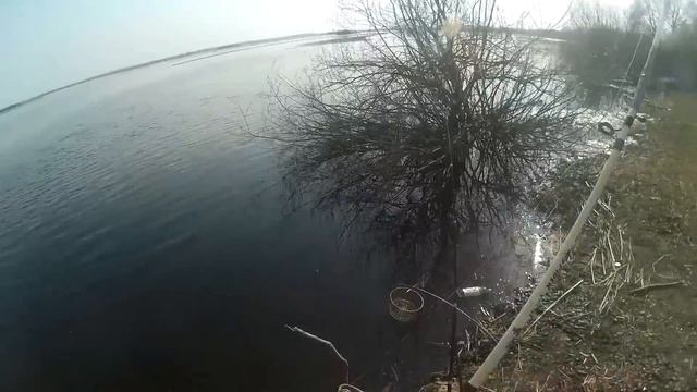 Рыбалка на реке Малый Волховец! Рыбалка под "синим" мостом! смотреть онлайн