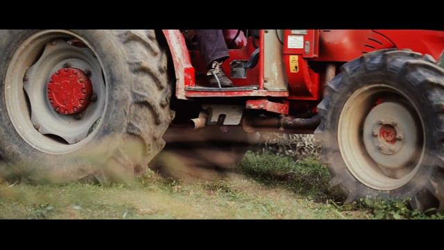 Aristeon Olive Oil Factory смотреть онлайн