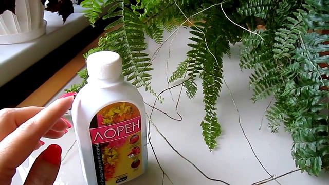 Папоротники. Уход не очень сознательного цветовода) смотреть онлайн