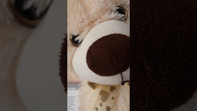 что полощет енот -полоскун смотреть онлайн