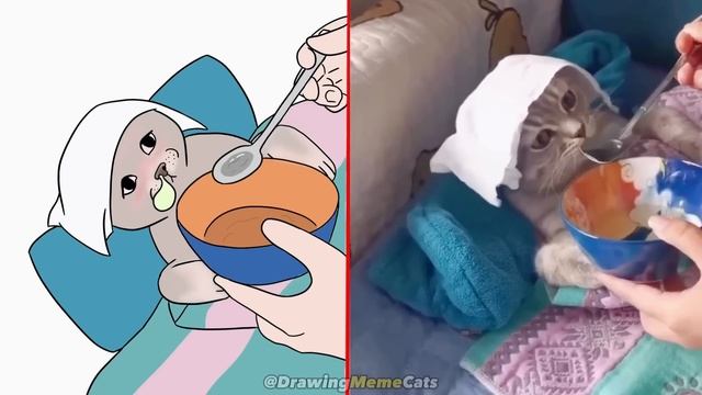 ? Drawings of Cat Memes: Funniest Animals 2023? Drawing Meme | Funny Cats and Dogs | Cat Memes смотреть онлайн