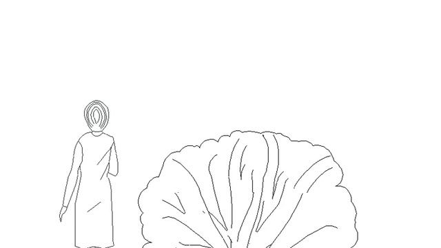 Rhododendron 'Marcel Menard' смотреть онлайн