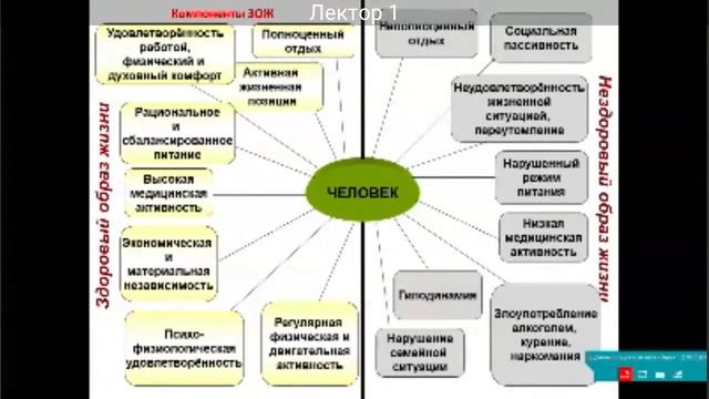 Здоровый образ жизни, понятие. Компоненты, формирующие здоровый образ жизни детей и подростков