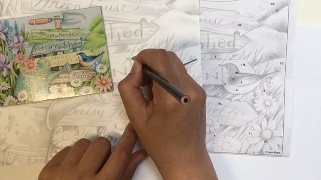 «Птица. Dimensions Дименшнс -1» ?КАРАНДАШИ | Сезон 1-8 |Мастер-класс для начинающих смотреть онлайн