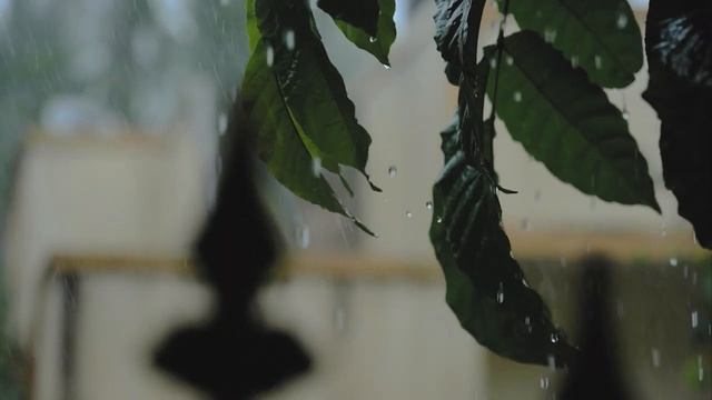 Soft Rain - Sleep Music Healing And Peaceful Music | Music For Sleep 2023 - Best Relax For You Vol.