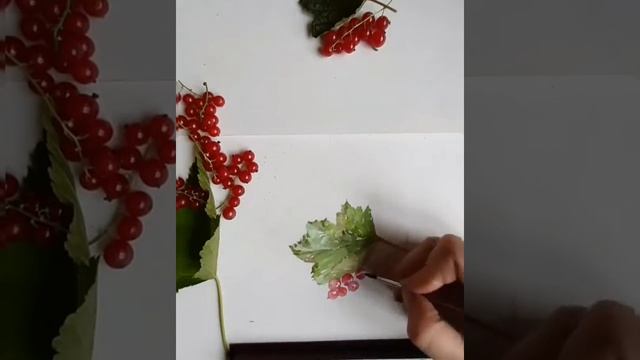 Акварельный этюд. Красная смородина. Урок рисования смотреть онлайн