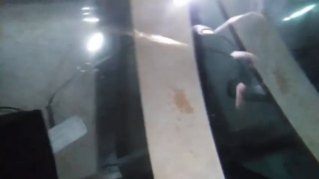 Икра у дискусов испортилась. смотреть онлайн