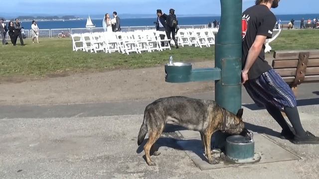 США 2812: Все тот-же океан, все тот-же Санта Круз. Зарисовка. смотреть онлайн