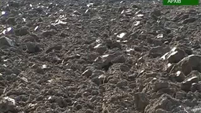 Коломея Кадастрова карта смотреть онлайн