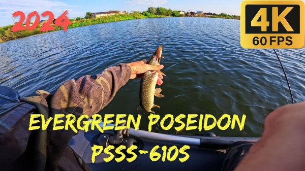 Окунь на EverGreen Poseidon Salty Sensation PSSS-610S Limber Tip.