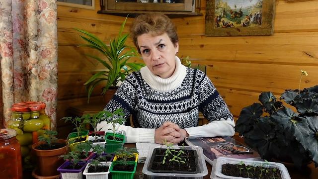 Ошибки начинающих садоводов смотреть онлайн