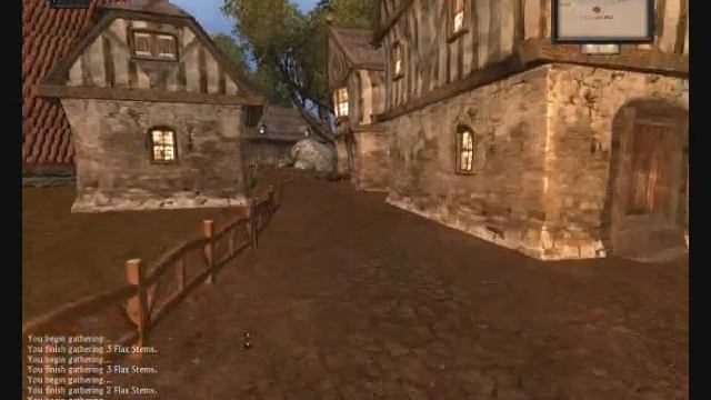 Dawntide Beta - Skinning and Cooking смотреть онлайн