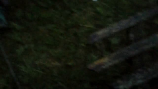 заводим бензопилу дружба 4а электрон 1972 года и 1997 смотреть онлайн