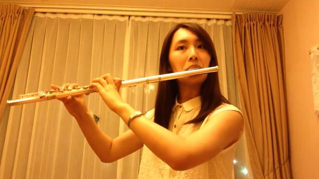 Reset (Who Are You - School 2015 OST]) flute cover by Fen-Lin смотреть онлайн