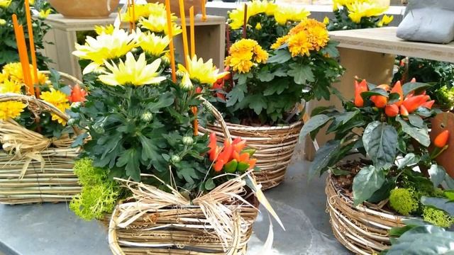 Осенние композиции цветов. Autumnal flower arrangements. Herbstliche Blumenarrangements. смотреть онлайн