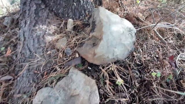 Опять на даче//Запекаю тыкву//Готовлю сад к зиме смотреть онлайн