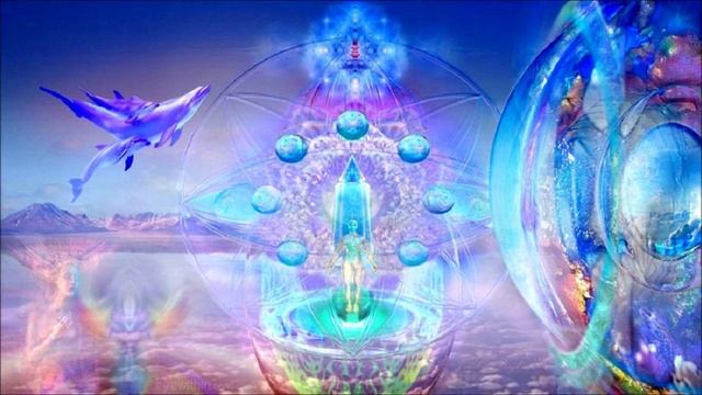 ГФС - Дельфины и киты Кто мы такие.