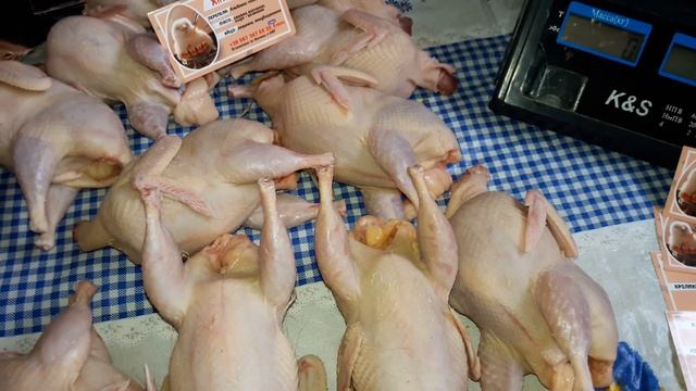 СТАНДАРТ, ЧИСТЫЙ ВЕС тушки мяса перепела породы Альбинос техасский.Блог /1.