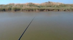 Рыбалка на сазана на Сартлане 2021 получилась непростой (ездили на две ночи) ЧАСТЬ 2