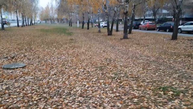 ТАТАРЧА символы счастья: ложные и настоящие смотреть онлайн