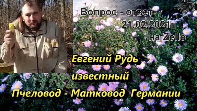 Евгений Рудь на Zello Вопрос-ответ. смотреть онлайн