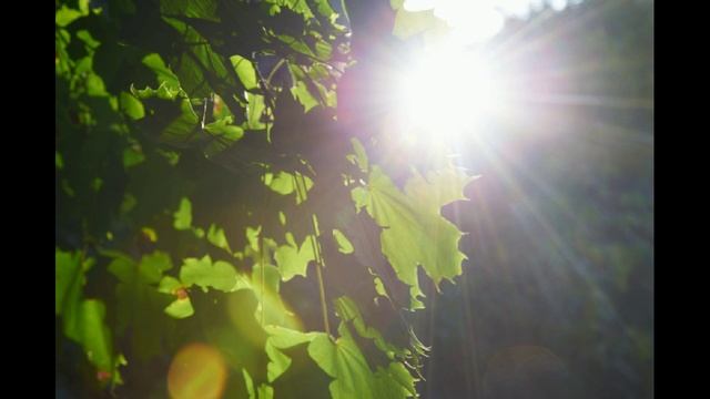 741Hz 》GOOD NIGHT SLEEP MUSIC 》Детокс всего тела 》Очищение ауры