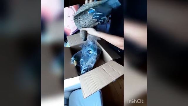 Чучела Softplast Кряква магнум