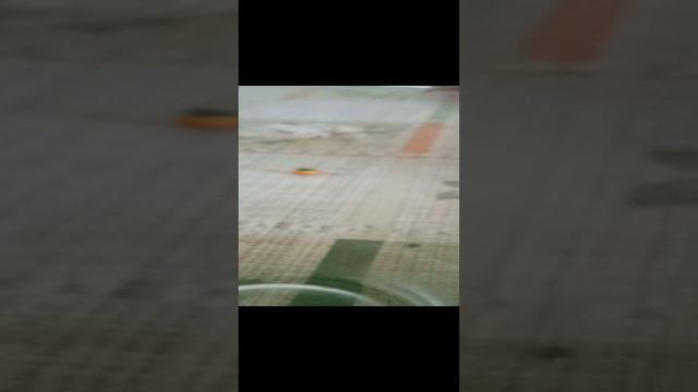 снасти на щуку