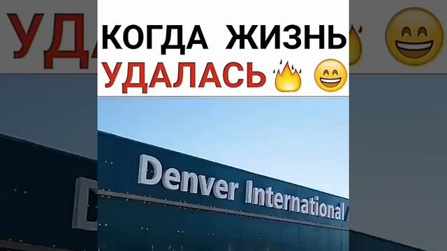 Когда жизнь удалась смотреть онлайн