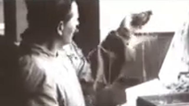 Искатели Сокровища сибири смотреть онлайн