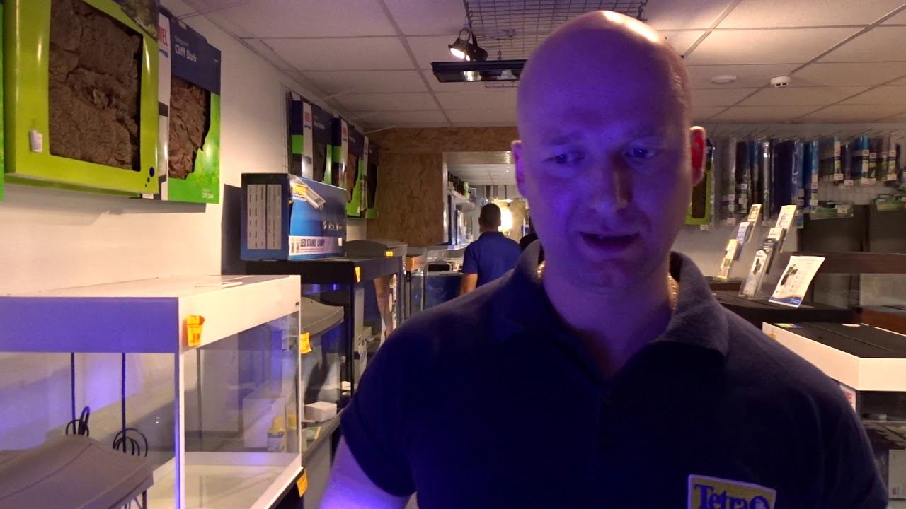 #Морской аквариум смотреть онлайн