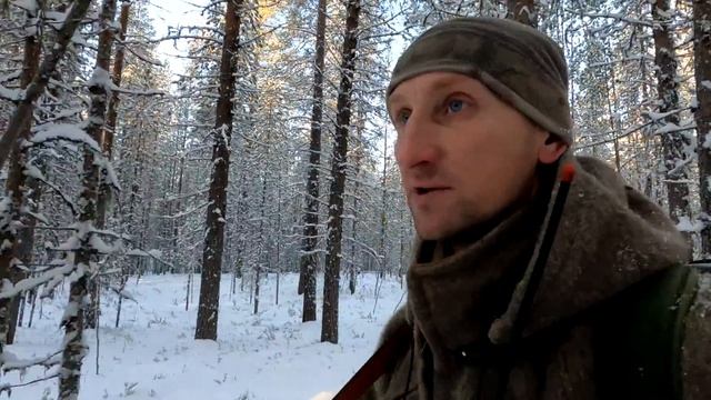 МЕДВЕДЬ ОБЛОЖЕН. ДОБЫЛИ ПЕРВУЮ КУНИЦУ С СОБАКАМИ. смотреть онлайн