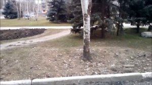 Примеры фото и видео с камеры ZOPO ZР990+