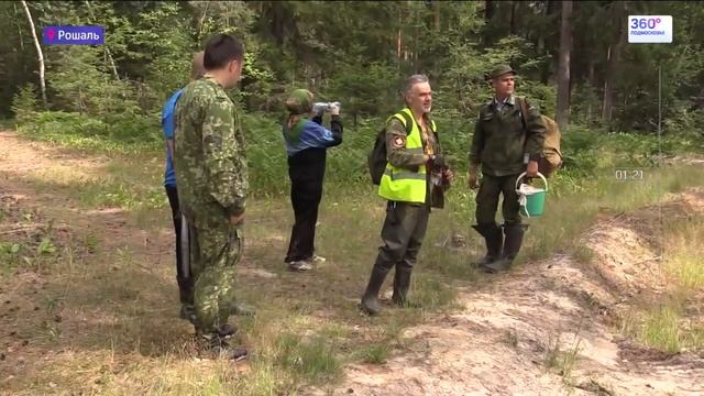 В Рошале нашлась потерявшаяся пенсионерка смотреть онлайн
