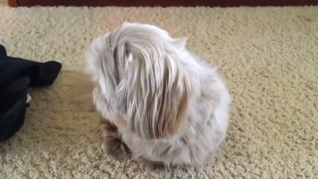 Best way to store Squishies смотреть онлайн