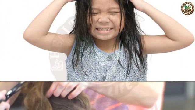 De lice shampoo best work for Anti Lice & Nits (Joun) Removal سر کی جوؤں اور لیکھوں کا مکمل خاتمہ смотреть онлайн