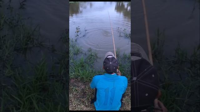 Подборка приколов смотреть онлайн