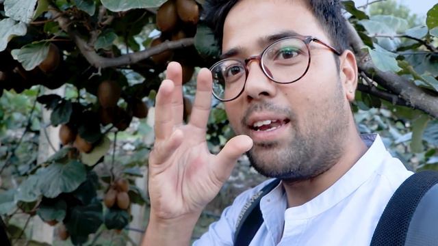 My Farm Tour | Kiwi Orchard | Organic Farming | Kullu Himachal Pradesh смотреть онлайн