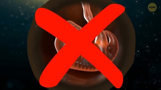 Мы можем увидеть живых мамонтов в ближайшем будущем смотреть онлайн