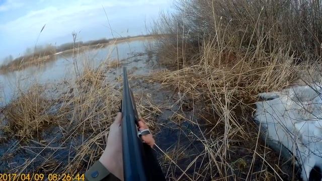 Охота на утку. Весенний селезень с манком. Открытие весенней охоты по перу. Чирки, свиязь и кряква. смотреть онлайн
