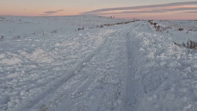 Застряли в снегах Урала. Выбирались своими силами. //Без хвоста 4К #русскийспаниель смотреть онлайн