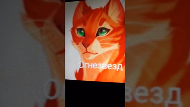 коты воители и если бы их имена были в прямом смымле смотреть онлайн