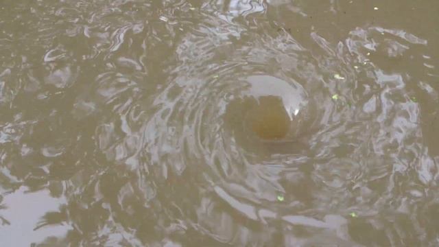Водоворот или воронка в воде на реке Борисовка в Мытищах