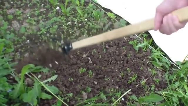 Плоскорез Фокина. смотреть онлайн