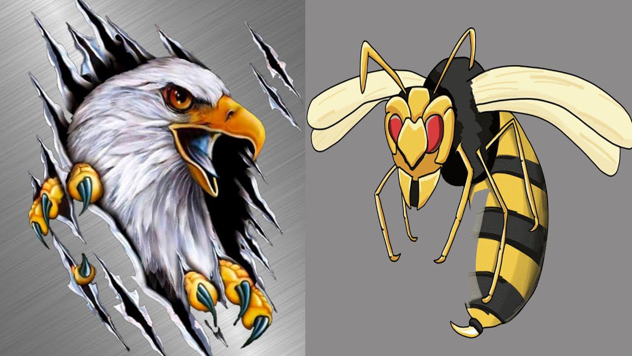 КАК ОРЁЛ УБИВАЕТ ОС И ШЕРШНЕЙ смотреть онлайн