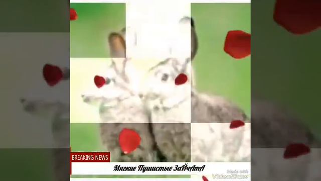 ..::Мягкие Пушистые ЗаЙчАтА::.. смотреть онлайн