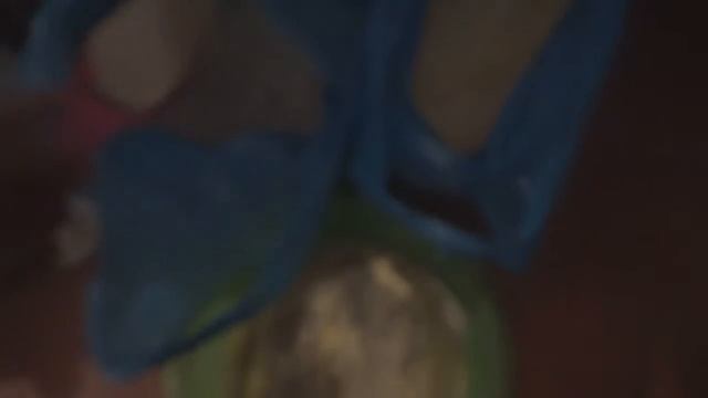 Сбалансированный корм для перепелов смотреть онлайн